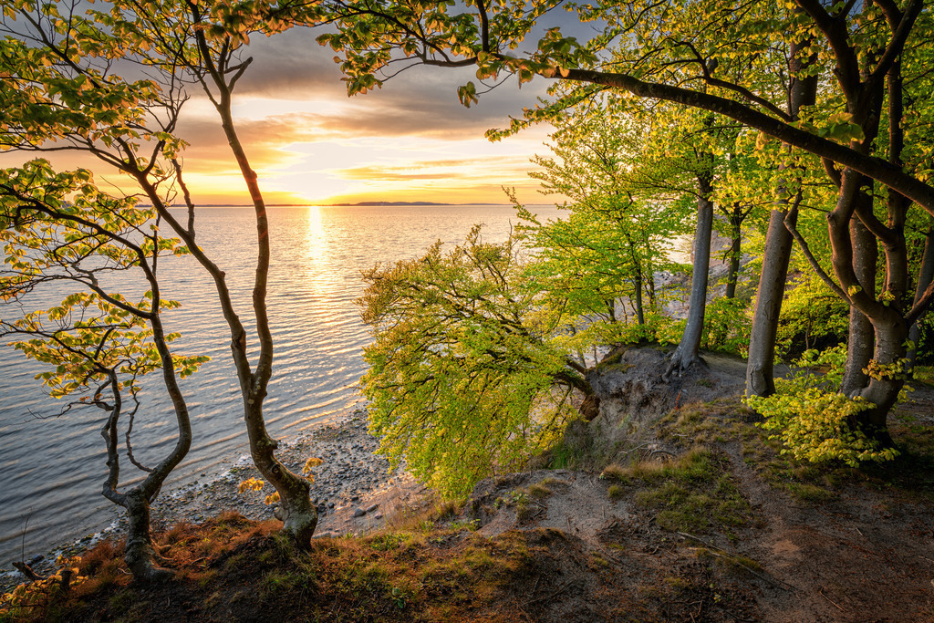 Rügen Küste | Wandbilder - Florian Läufer - Realisiert mit Pictrs.com
