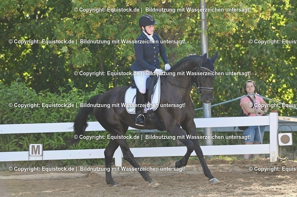 20230715_06_Dressurpferdeprfg. Kl.A_0180 | equistock