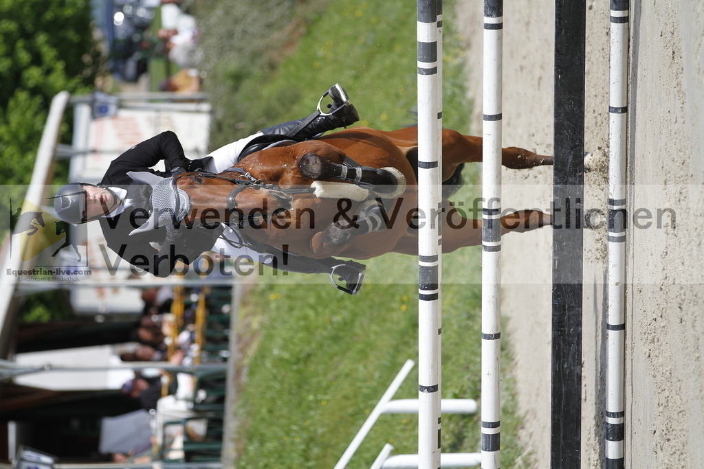 _MG_8686 | equestrian-live-com