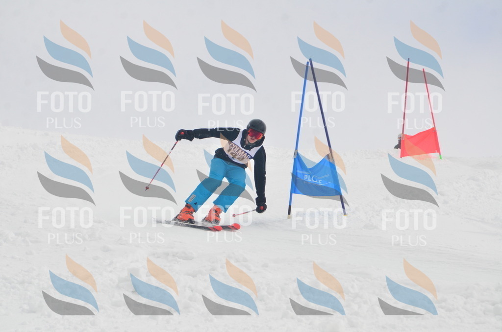 A6198 | holidayphoto