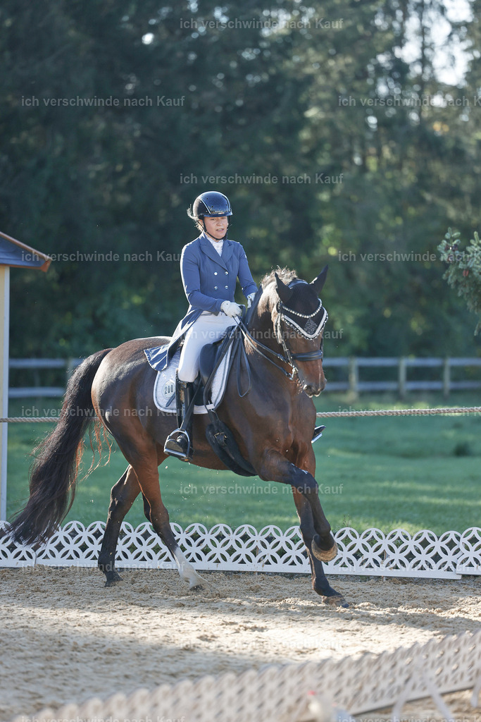 09_1-200-DRESSUR  S_  -StoibPH-5529 | working equitationturnier fotograf videograf stoibphotography marixx film working equitation deutschland reitsport turnierfotografie eventfotografie equestrian events