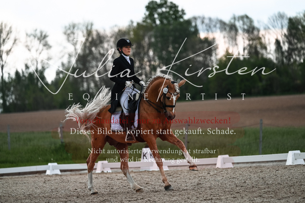 20230514_JK-Röhrsdorf-21-413 | Pferde- und Turnierfotografie in Westsachsen. Pferdeportraits, Auftragszeichnungen und intuitive Kunst.
