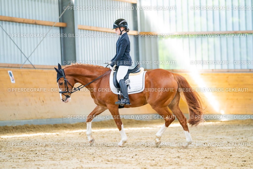 DSC06892 | Pferdegrafie