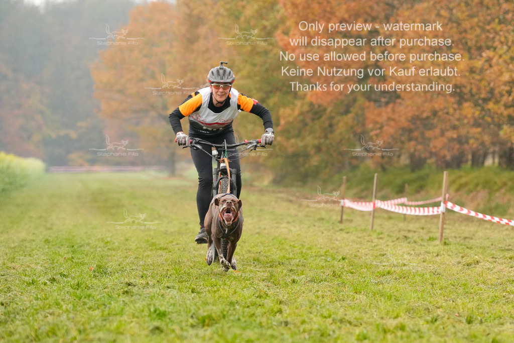 Visbeck_Sa_Bike-93 | stephaniefillaphotographie - Realisiert mit Pictrs.com