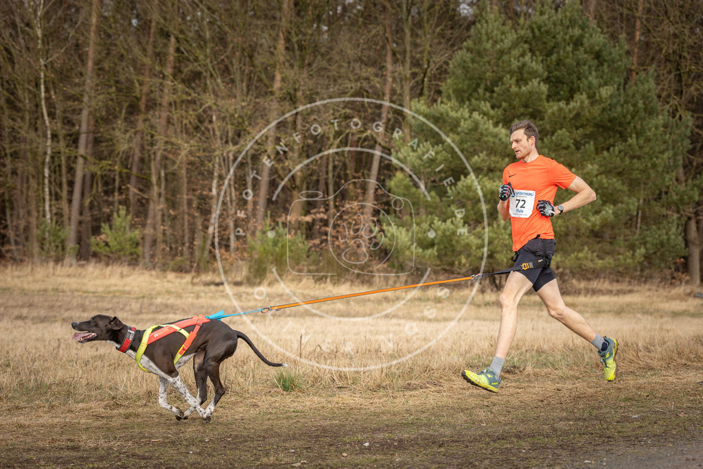 DV3A3662 | Hundefotografie, Tierfotograf, Pfotenfotografie, Fotoshooting Hund, Hunde Portrait, Hundesport, Hundeportraits, Heideshooting, Hunde, Sportfotograf, Hundefotograf, Turnierhundsport, THS,  - Realisiert mit Pictrs.com