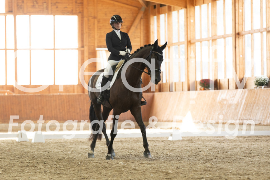 IMG_3300 | Creatify Fotografie