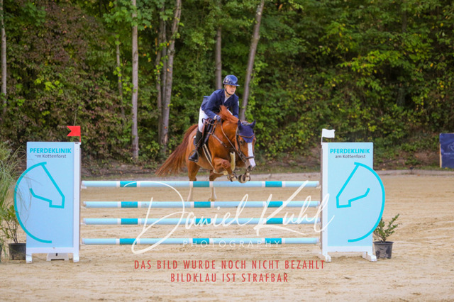 IMG_6190 | Turniersportfotografie; Pferdefotografie; Dressurfotografie