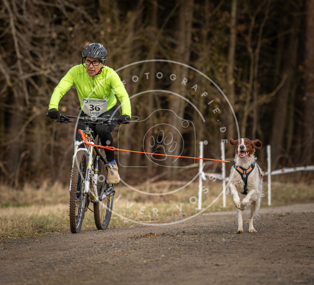 DV3A4576 | Hundefotografie, Tierfotograf, Pfotenfotografie, Fotoshooting Hund, Hunde Portrait, Hundesport, Hundeportraits, Heideshooting, Hunde, Sportfotograf, Hundefotograf, Turnierhundsport, THS,  - Realisiert mit Pictrs.com