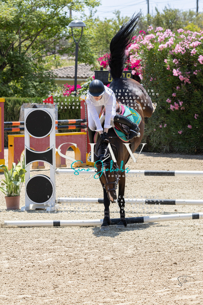 IMG_7404 | s-jay-photography - Realisiert mit Pictrs.com