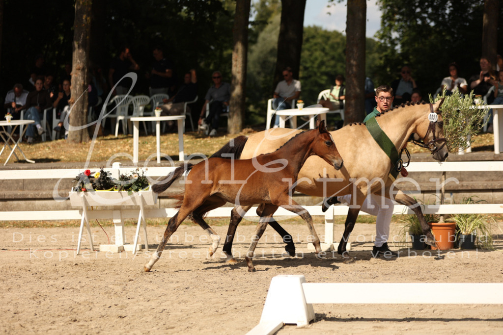 08.DoRPS00092 | Leoni Ertmer Photography - Realisiert mit Pictrs.com