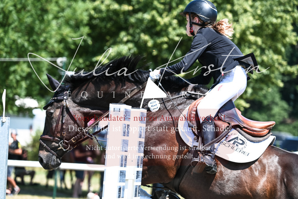 DSC_0346 | Pferde- und Turnierfotografie in Westsachsen. Pferdeportraits, Auftragszeichnungen und intuitive Kunst.
