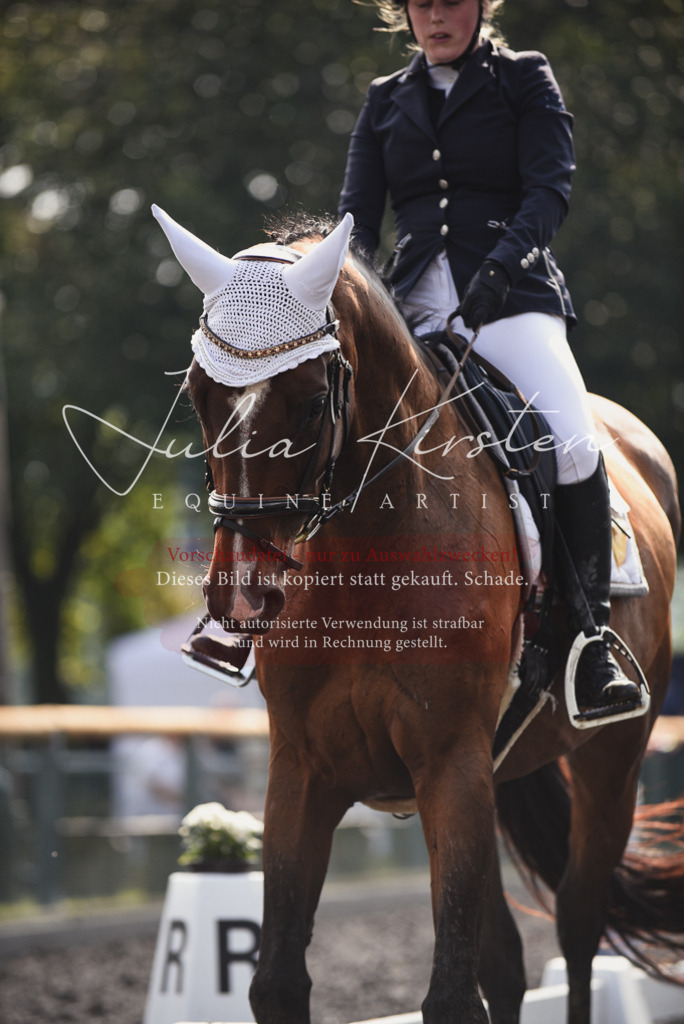 DSC_3558 | Pferde- und Turnierfotografie in Westsachsen. Pferdeportraits, Auftragszeichnungen und intuitive Kunst.