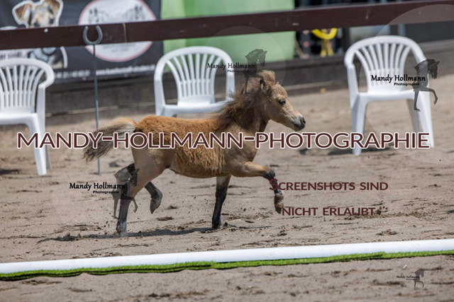 Fiesoythe RR-5 | mandyhollmannphotographie