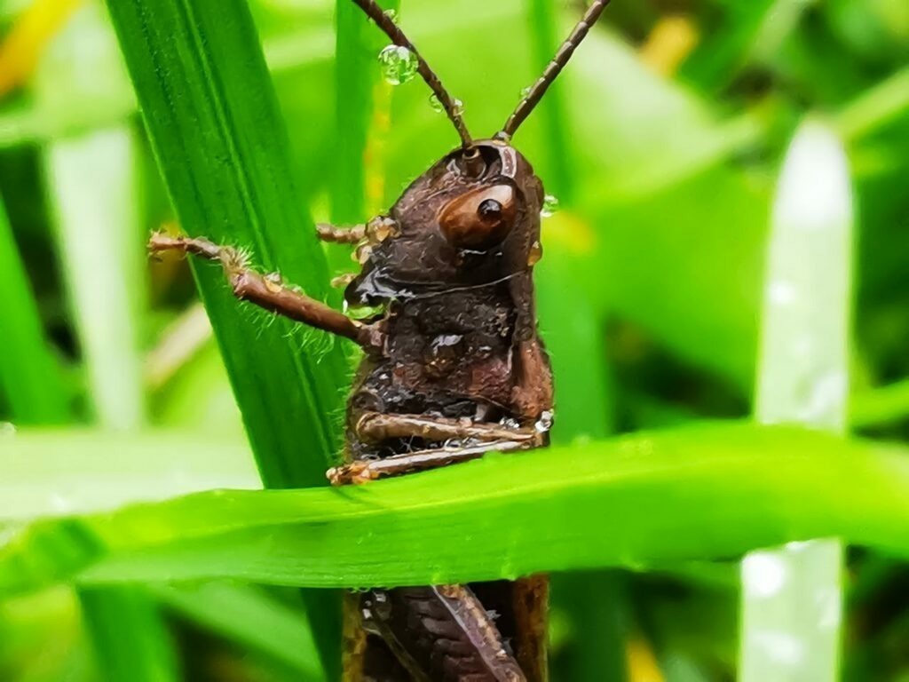 PSX_20221003_233058 | mtkfoto_ - Realisiert mit Pictrs.com