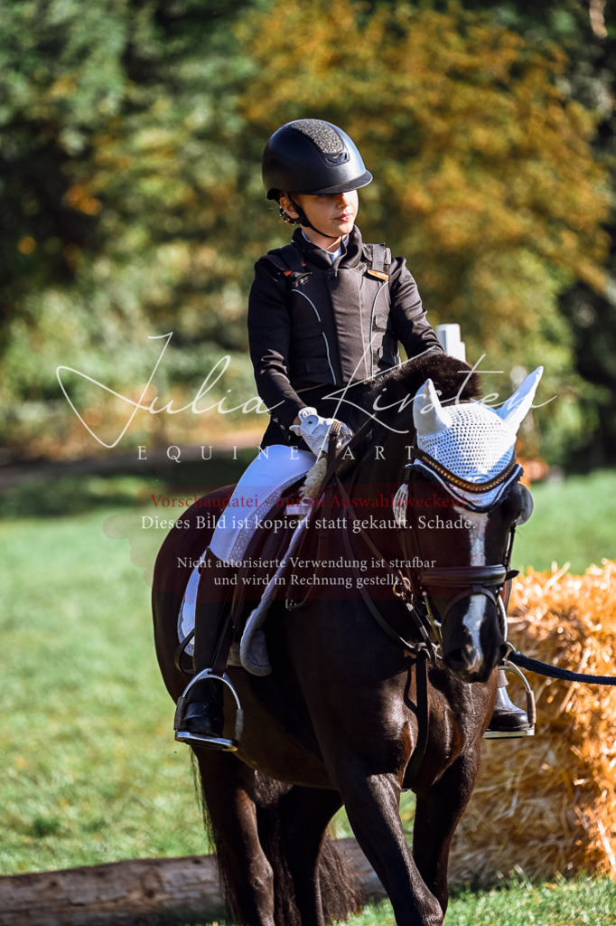 DSC_0359 | Pferde- und Turnierfotografie in Westsachsen. Pferdeportraits, Auftragszeichnungen und intuitive Kunst.