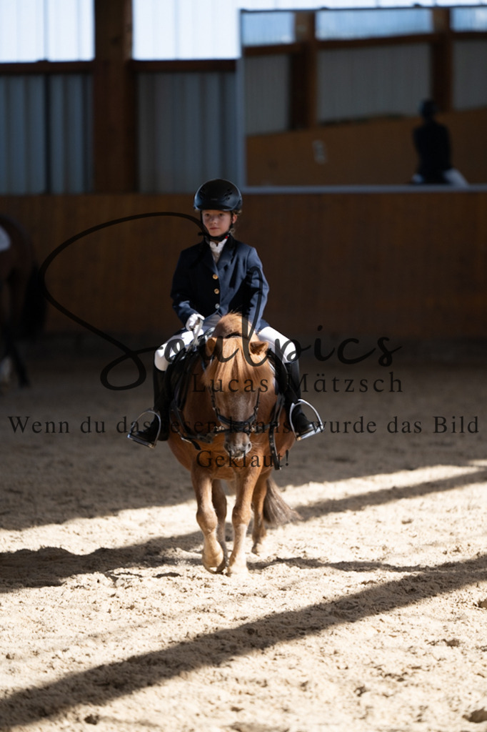 A7V02148 | Turnier/Reitfotograf