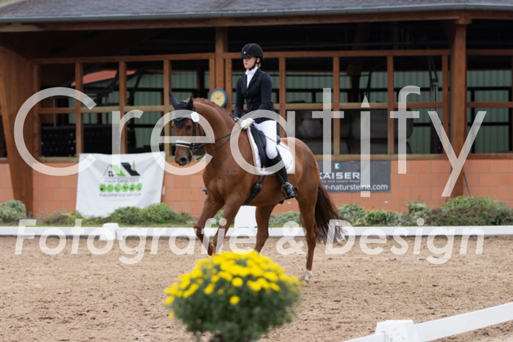 IMG_7652 | Creatify Fotografie