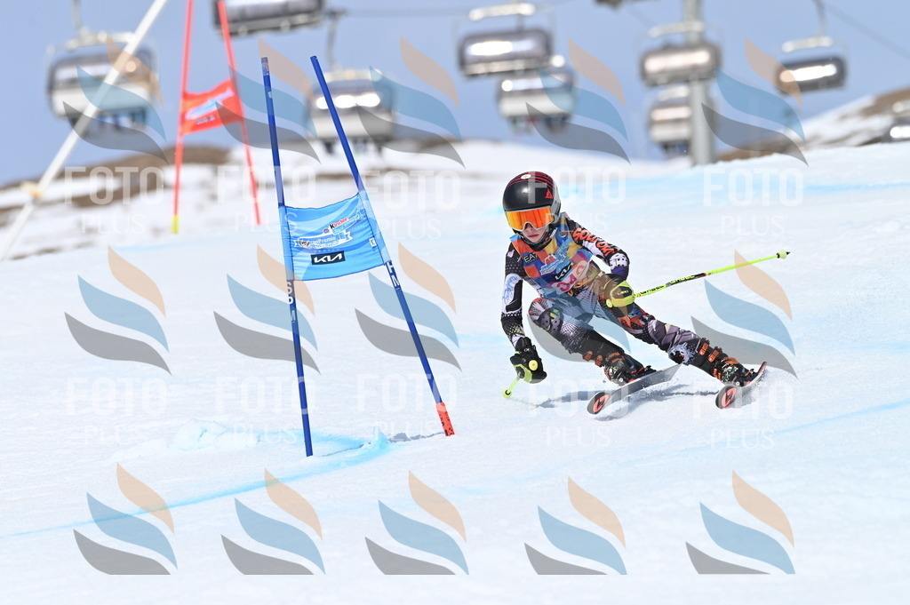 BGV_3449 | holidayphoto