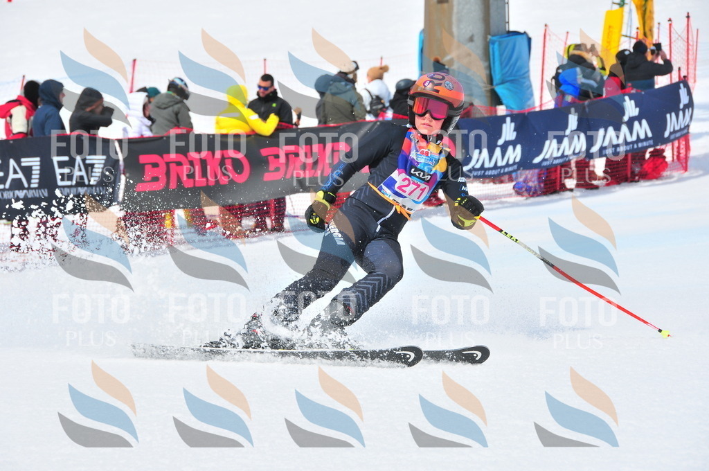 DSC_6284 | holidayphoto