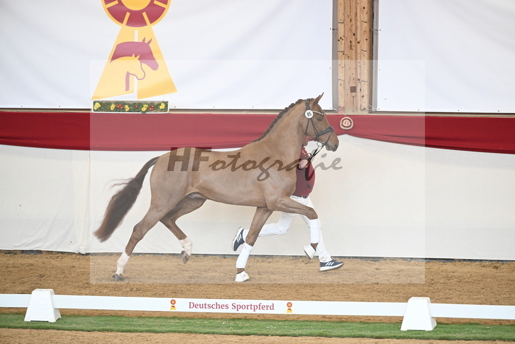 Kat.-Nr. 85 v. Vitalis_Wiens_2250785 | hf-fotografie - Realisiert mit Pictrs.com