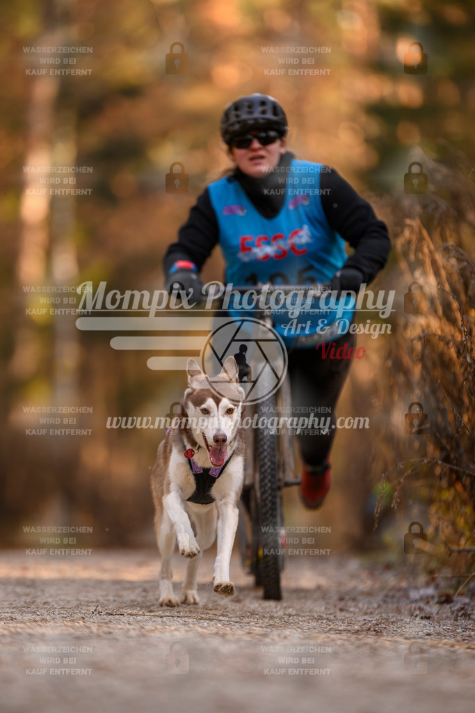 MompixPhotography_DM_AKDM_SO_2025_Scooter-234 | PayLife