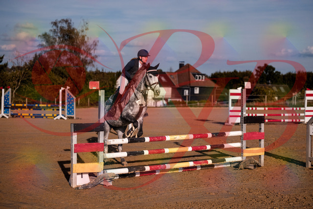 2026_10_03_Siefer-Hof_171341_Z81_10578196 | Professionelle Reitsport-, Turnier- und Eventfotografie von Robert Broda. Galerien mit ausgewählten und bearbeiteten Bildern direkt online ansehen und bestellen.