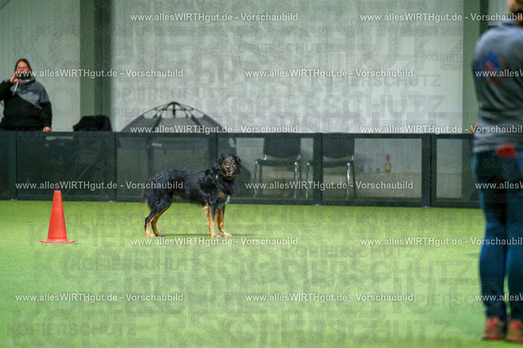 7R504023 | Professionelle Tierfotografie in Mönchengladbach von Daniel Wirth (allesWIRTHgut). Liebevolle & natürliche Bilder von Hunden & Katzen für unvergessliche Erinnerungen.