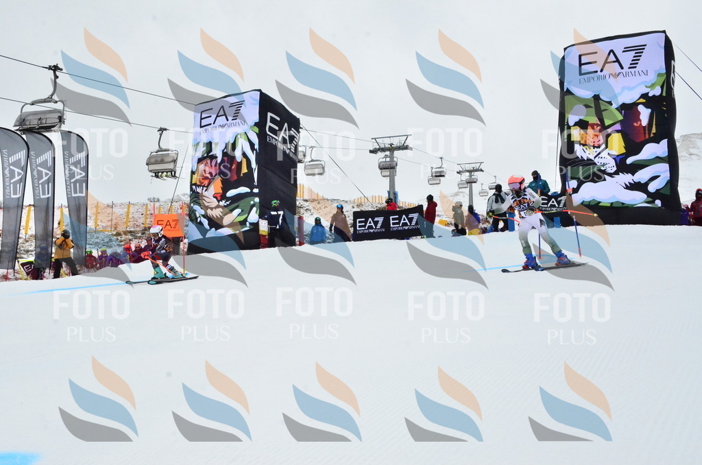 _ELE3178 | holidayphoto