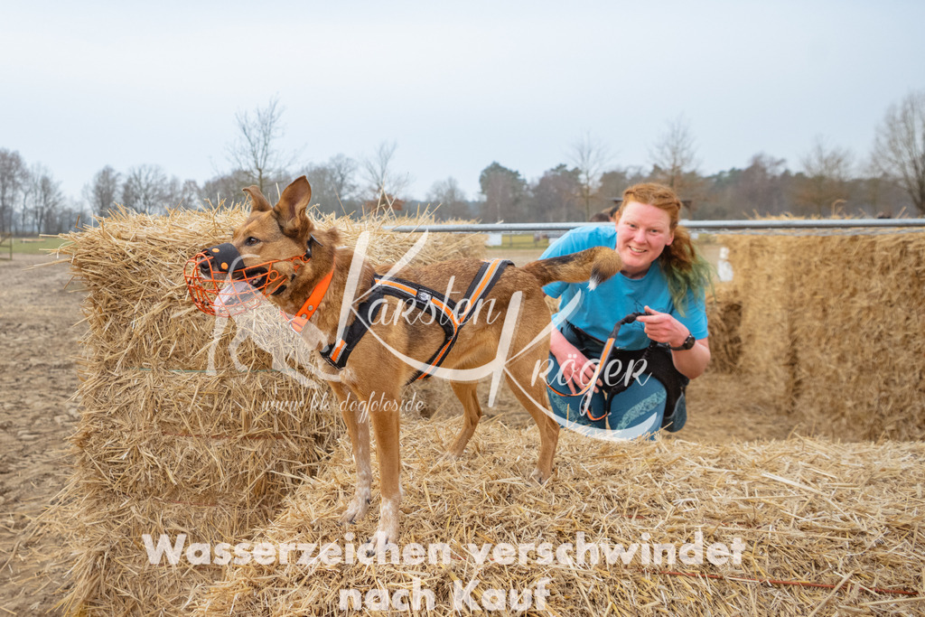 0837_ZZ93719 | kk-dogfotos
