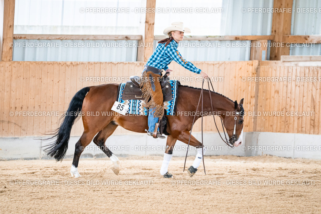 DSC08172 | Pferdegrafie