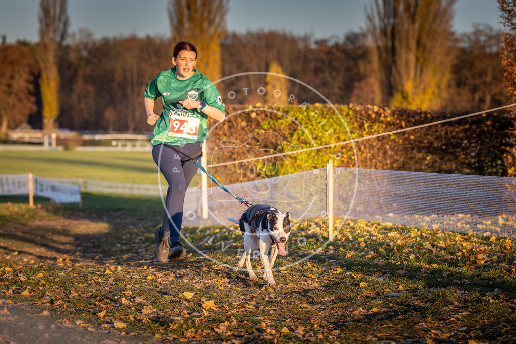 CaniXpix_DV3A5469 | Hundefotografie, Tierfotograf, Pfotenfotografie, Fotoshooting Hund, Hunde Portrait, Hundesport, Hundeportraits, Heideshooting, Hunde, Sportfotograf, Hundefotograf, Turnierhundsport, THS,  - Realisiert mit Pictrs.com
