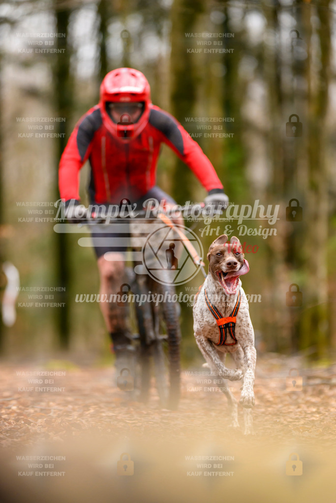 MompixPhotography_Habay2024_SA_Bike-61 | PayLife
