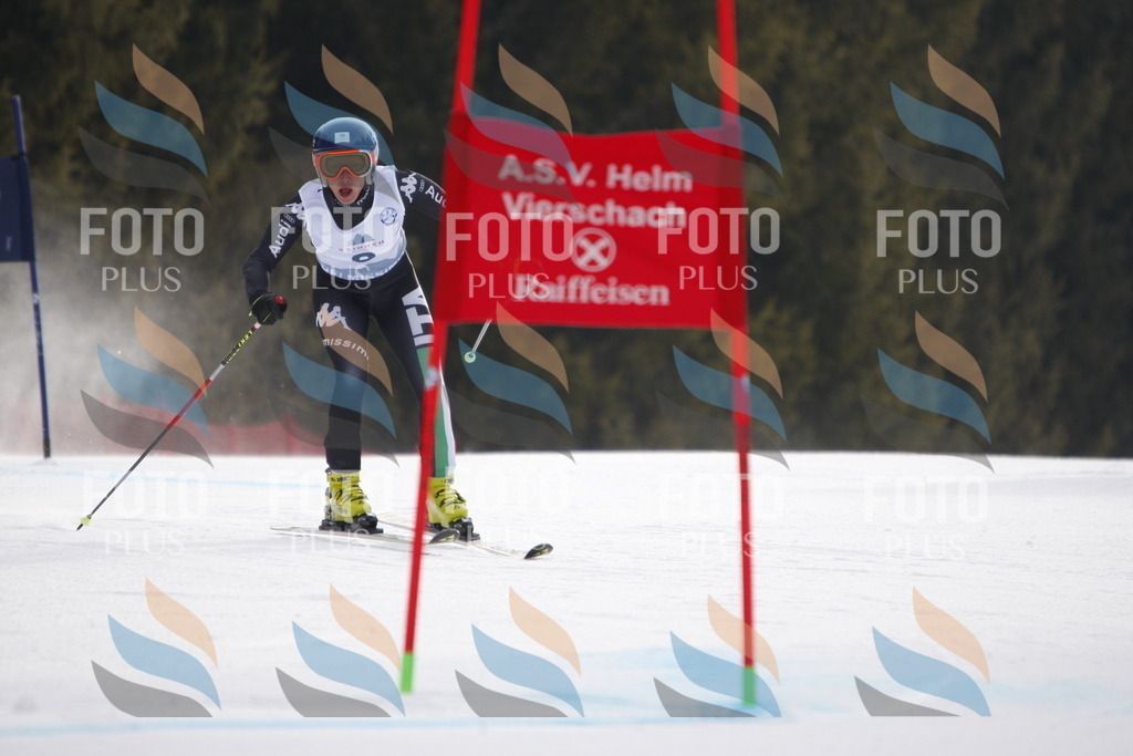 D4670 | holidayphoto