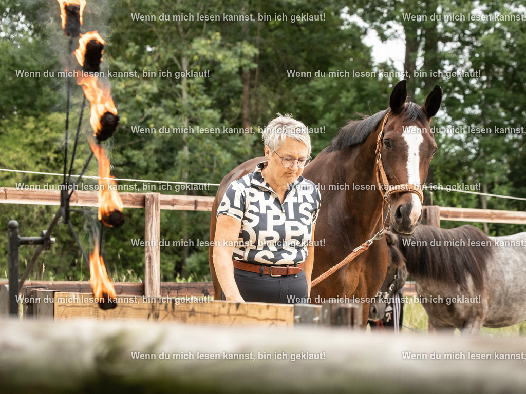 598A6955 | photographylinaismer - Realisiert mit Pictrs.com