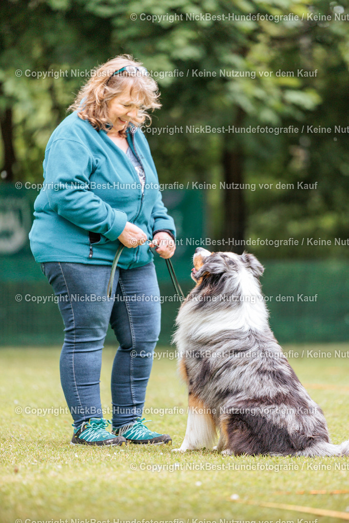 RO-Blumenthal-2026-Nickbest-Hundefotografie-2448 | Dein Hund! Dein Moment! Deine Erinnerungen! Hundefotografie in Bremen Blumenthal. Ich fange die besonderen Momente deines Vierbeiners ein – ob Indoor mit Blitzanlage oder in der freien Natur. Sicher dir dein Moment und dein Termin für eure Erinnerungen.
