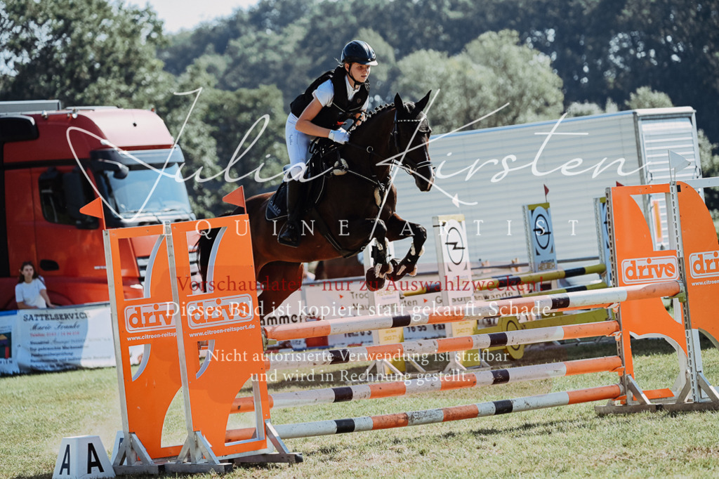 DSC_5490 | Pferde- und Turnierfotografie in Westsachsen. Pferdeportraits, Auftragszeichnungen und intuitive Kunst.