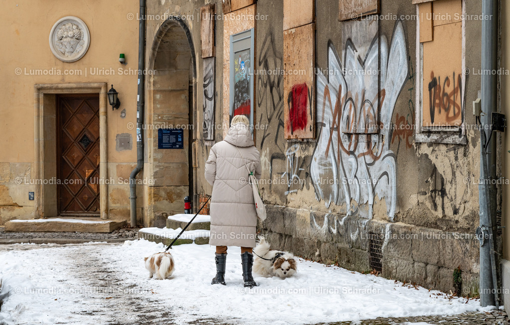 10049-13956 - Unter den Weiden in Halberstadt | Stockfoto und Bilderpool mit Bildmaterial aus Deutschland, dem Harz, Halberstadt, Quedlinburg, Wernigerode und weltweit. Qualitativ hochwertige und professionelle Fotos anschauen und kaufen. - Realisiert mit Pictrs.com
