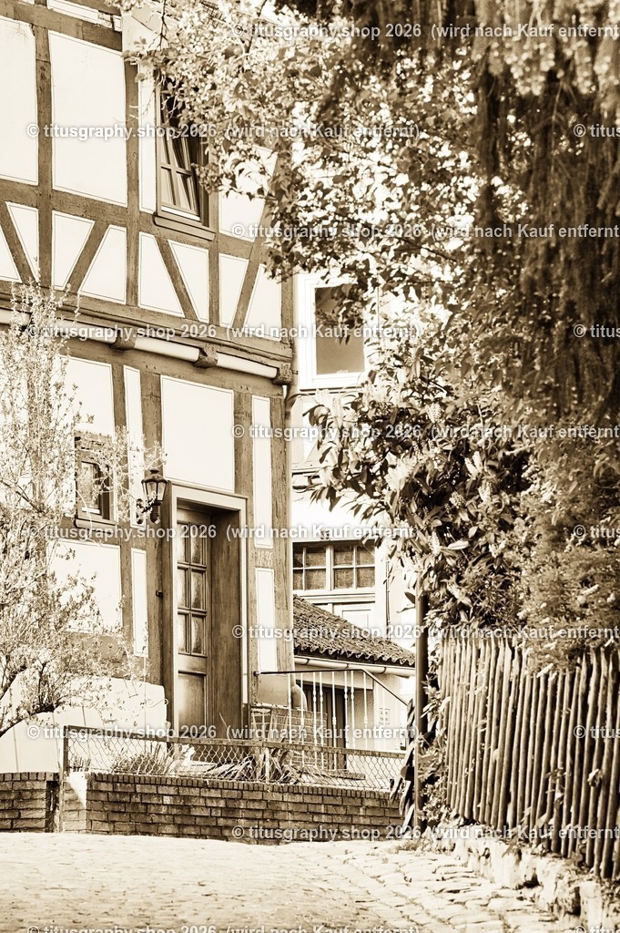 2022-04-29_FT-125_Oberkaufungen_DSC_0425_b-071_pe-15 (Kopie) | titusgraphy-shop: Geschenkideen mit Qualitätsfotos. titusgraphy-shop: gift ideas with quality photos. titusgraphy-shop: idées cadeaux avec photos de qualité.  - Realisiert mit Pictrs.com