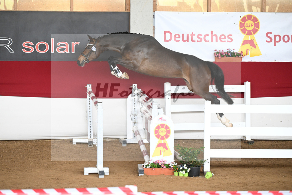 Kat-Nr. 22 Blueberry Spring v. Baloutaire_Engel u Pfizenmaier_9240518 | hf-fotografie - Realizzato con Pictrs.com