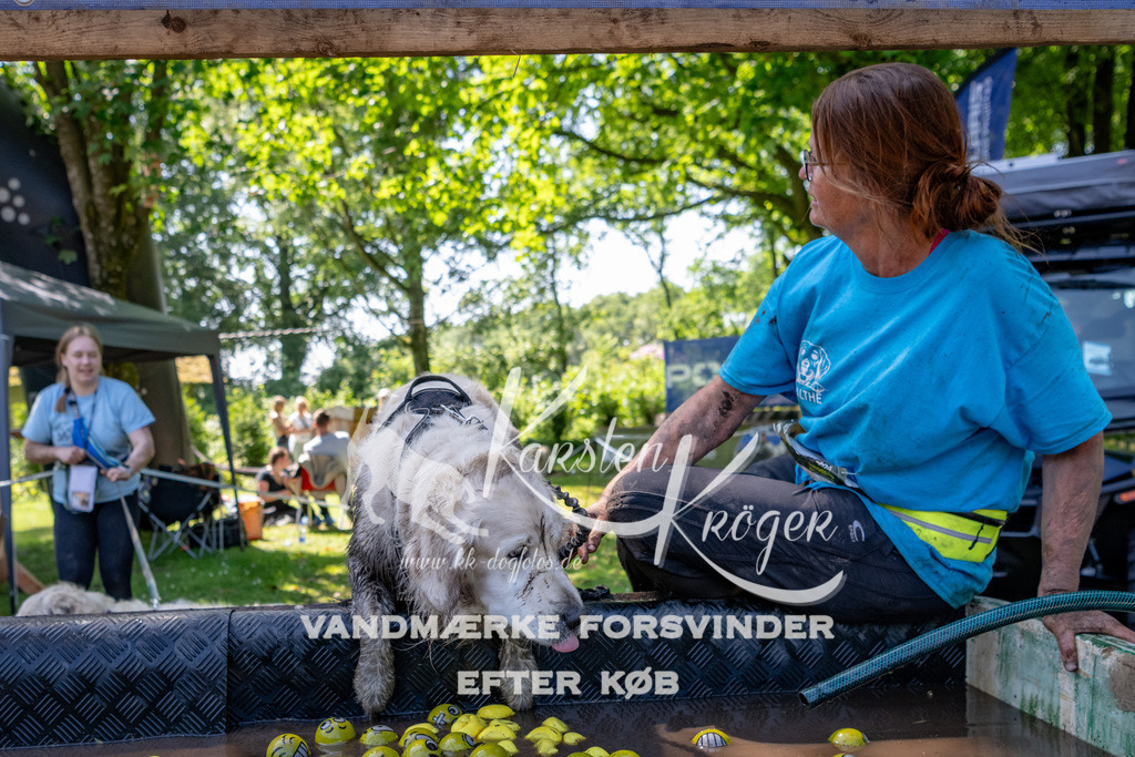 1340_ZZ91744 | kk-dogfotos