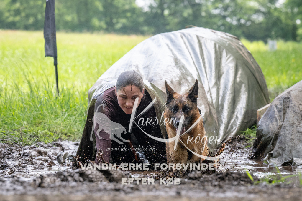 1141_ZZ93839 | kk-dogfotos