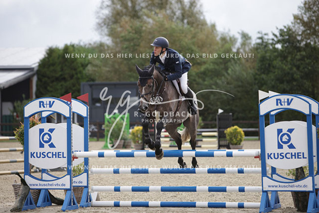 1J2A9059Hendrik Meyer_ U For Me M_ Kn938_ Havekost | Foto- und Videografie für alles rund ums Pferd. Hochwertige Bilder und Videos vom Spring- und Dressurreiten, Voltigieren & mehr. Jetzt aktuelle Veranstaltungen und Preise im Shop ansehen. - Realisiert mit Pictrs.com