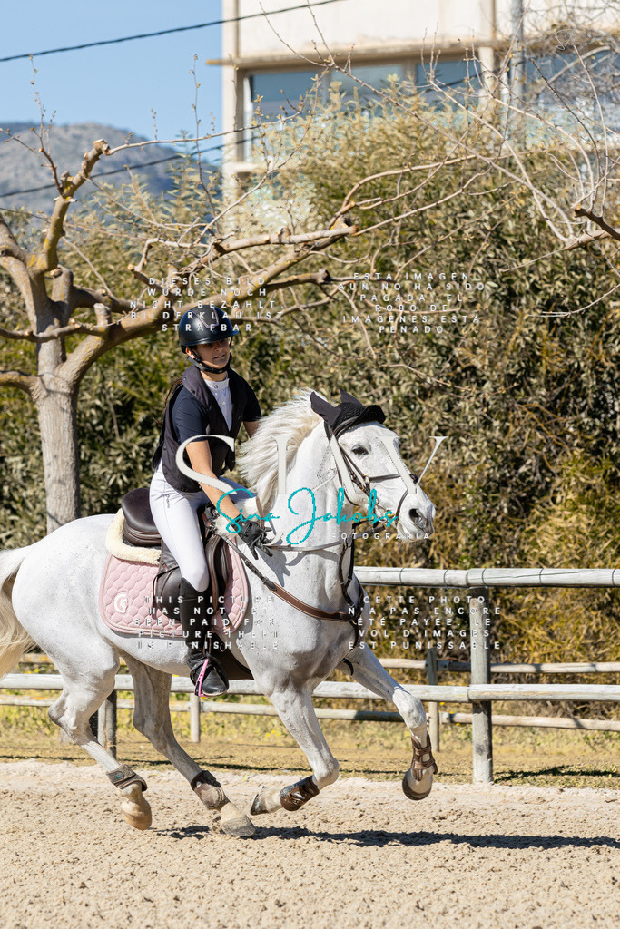 IMG_0859 | s-jay-photography - Realisiert mit Pictrs.com