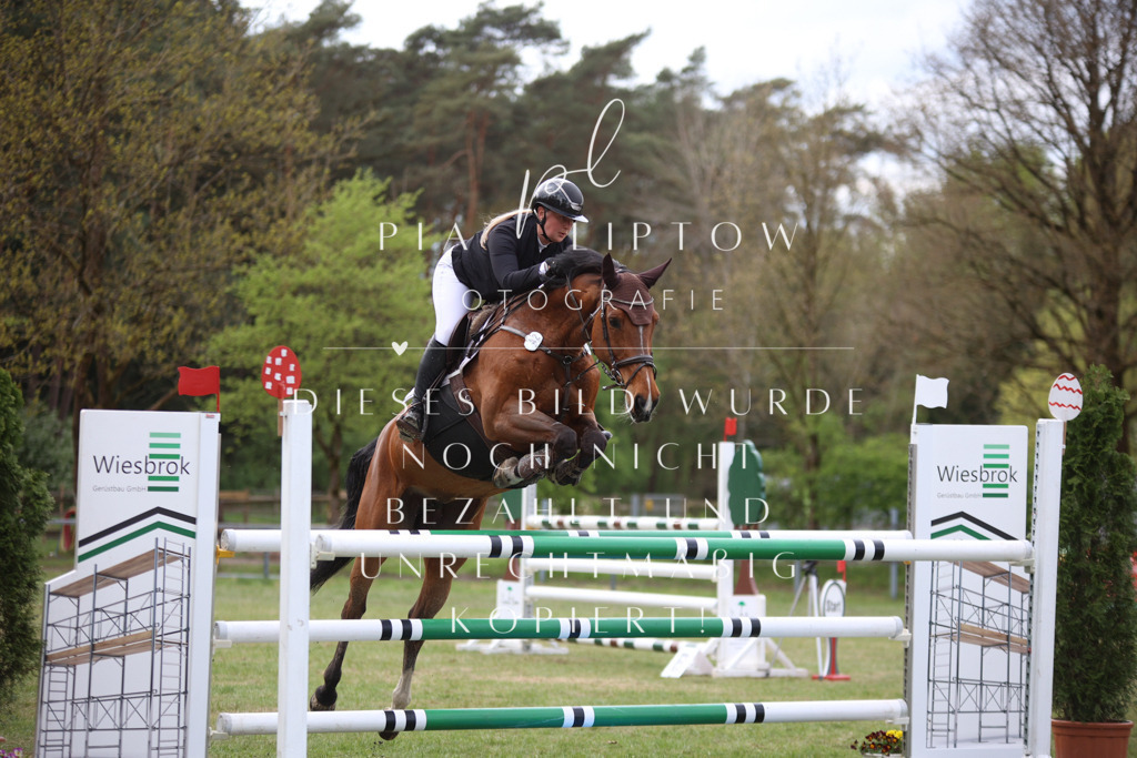 IMGT1575 | pl-fotografie