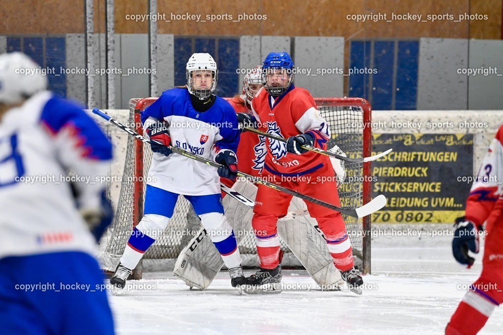 BST_5775 | hockey sports photos, Pressefotos, Sportfotos, hockey247, win 2day icehockeyleague, Handball Austria, Floorball Austria, ÖVV, Kärntner Eishockeyverband, KEHV, KFV, Kärntner Fussballverband, Österreichischer Volleyballverband, Alps Hockey League, ÖFB, 