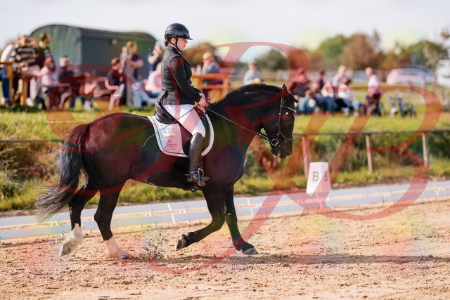 2026_10_03_Siefer-Hof_120700_Z81_08442985 | Professionelle Reitsport-, Turnier- und Eventfotografie von Robert Broda. Galerien mit ausgewählten und bearbeiteten Bildern direkt online ansehen und bestellen.