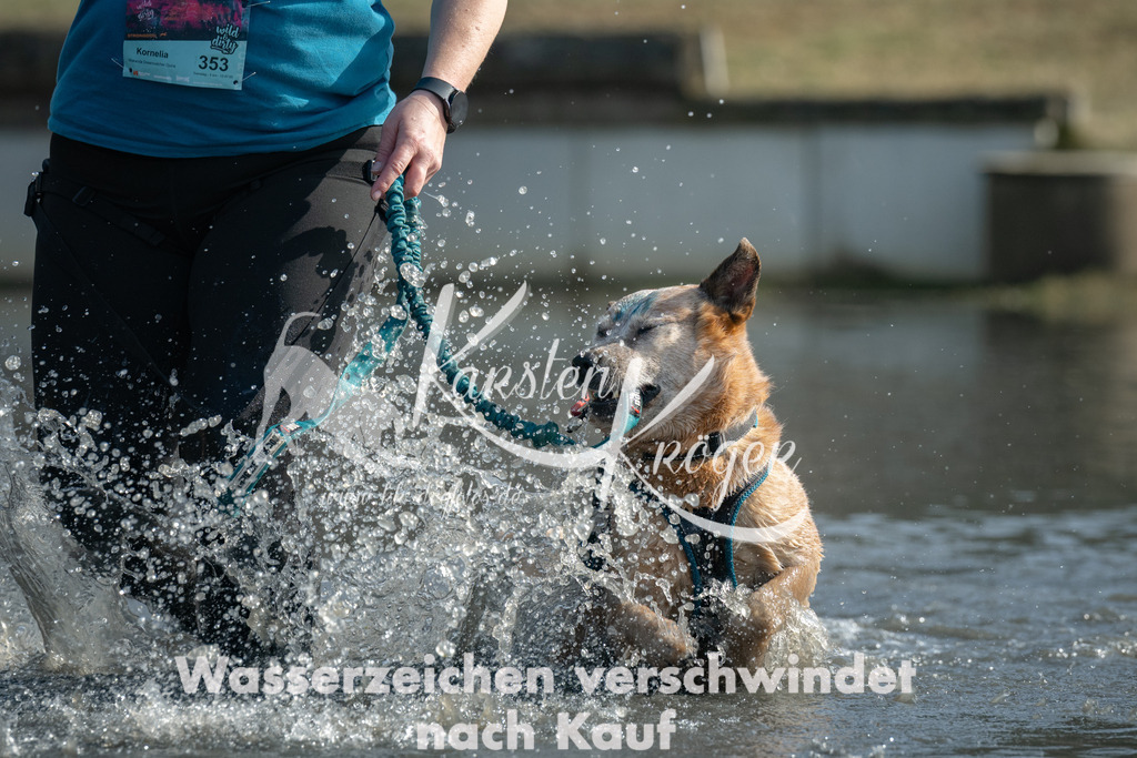 1300_ZZ93757 | kk-dogfotos