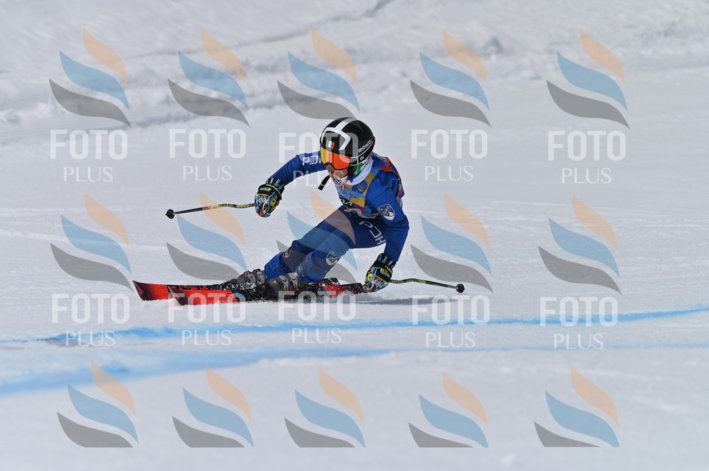 BGV_5533 | holidayphoto