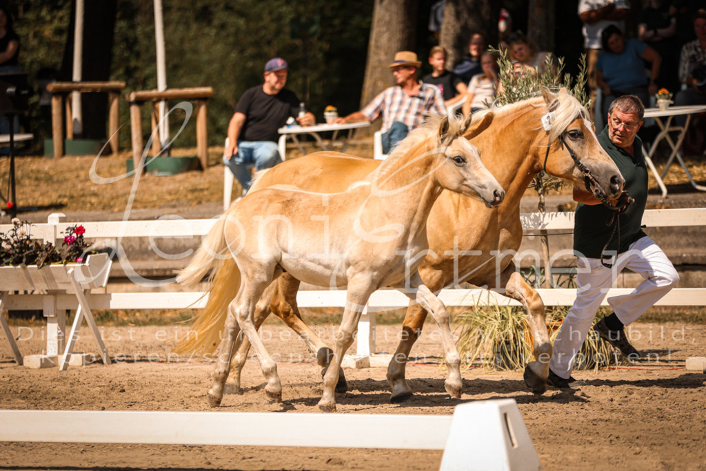 06.DoH00104 | Leoni Ertmer Photography - Realisiert mit Pictrs.com