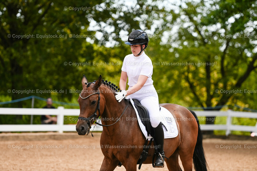 20230715_05_Dressurprüfung Kl.A++_0052 | equistock